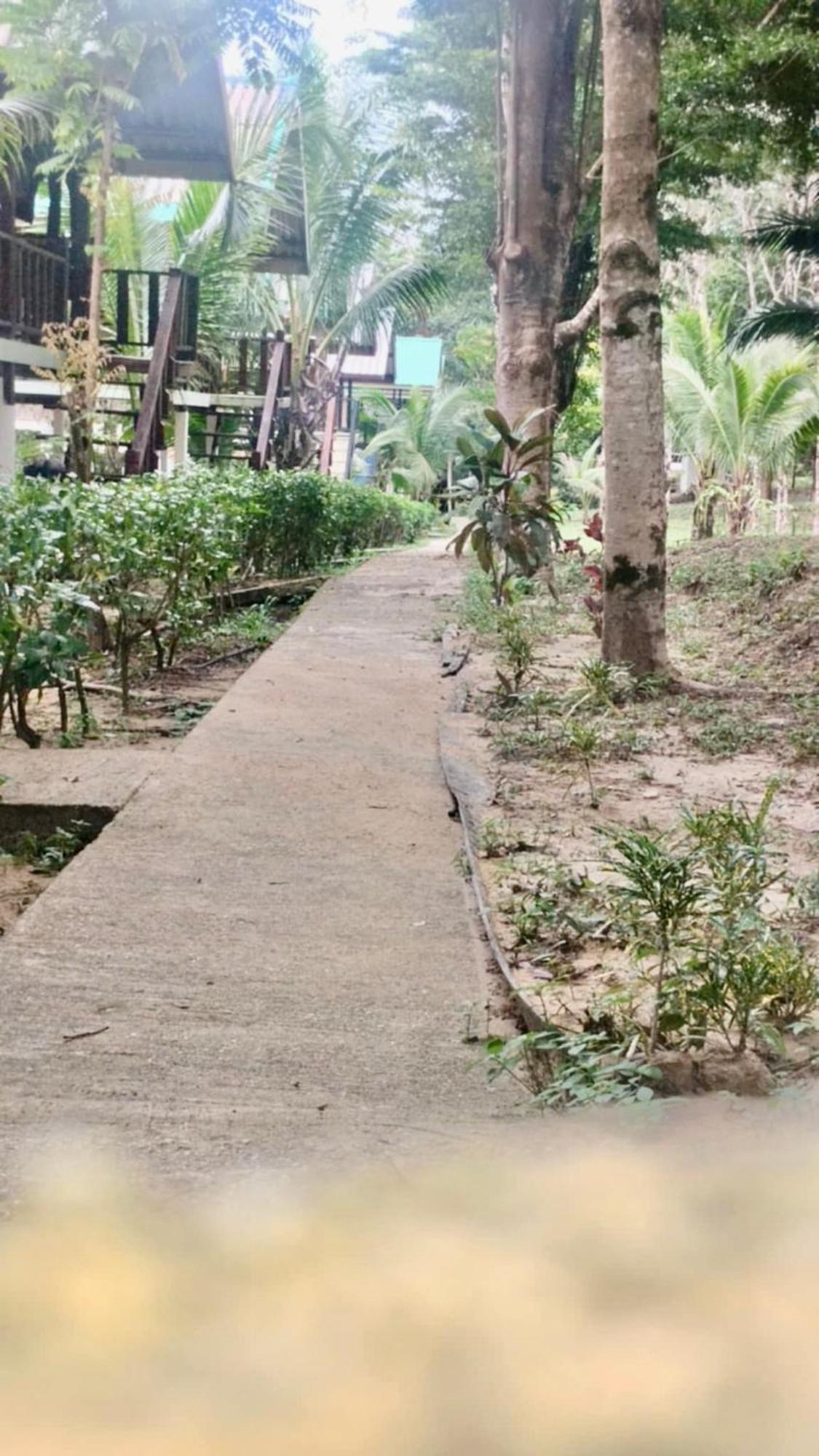 Rasta House,,Koh Phayam Hotel Exterior photo